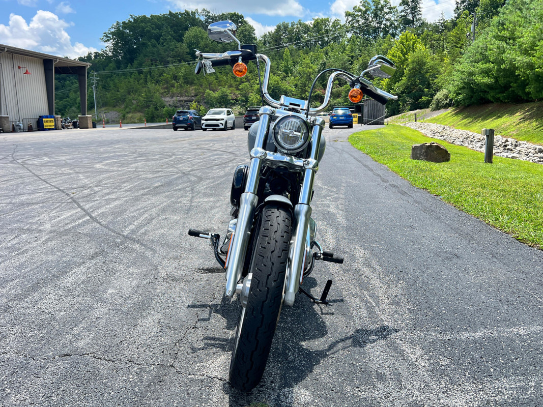 Softail® Standard