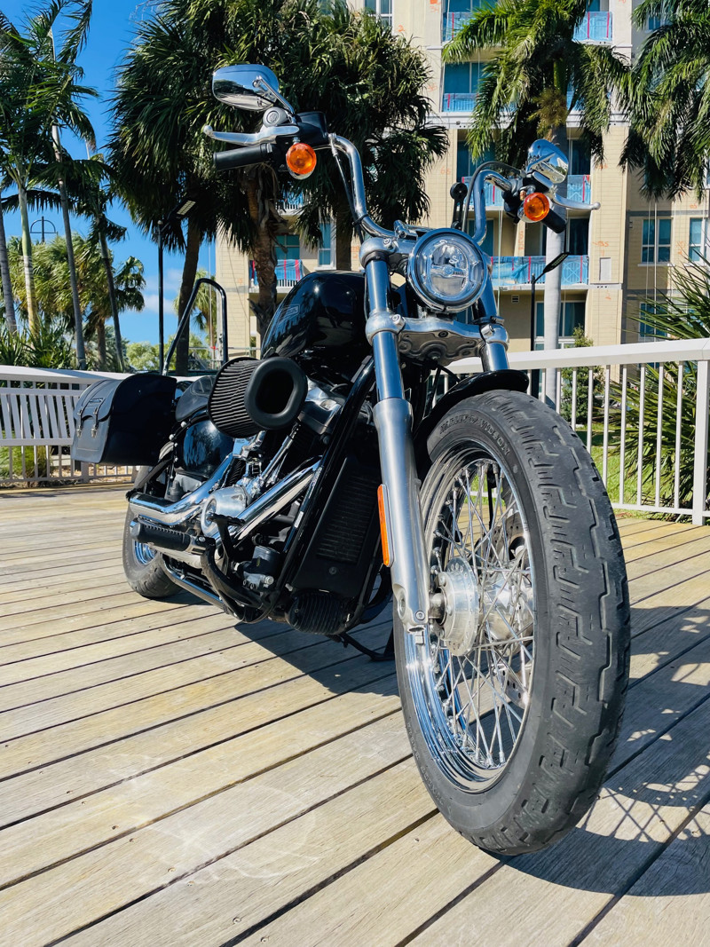 Softail® Standard