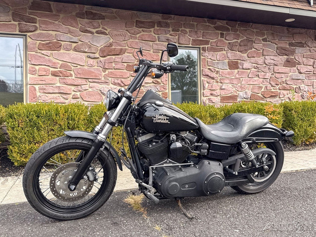 Dyna® Street Bob®