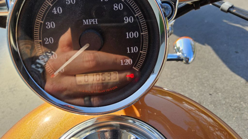 Sportster® 1200 Custom 