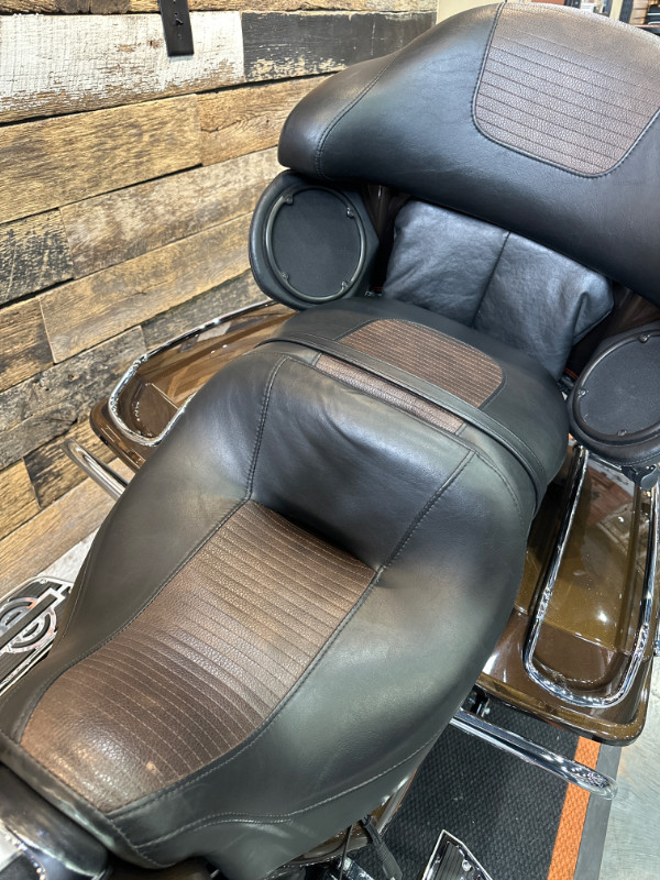 Electra Glide® Ultra® Limited 110th Anniversary