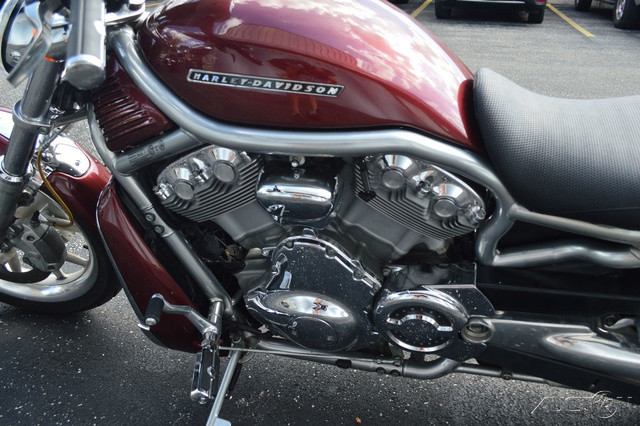 V-Rod®