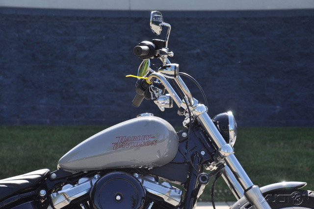 Softail® Standard