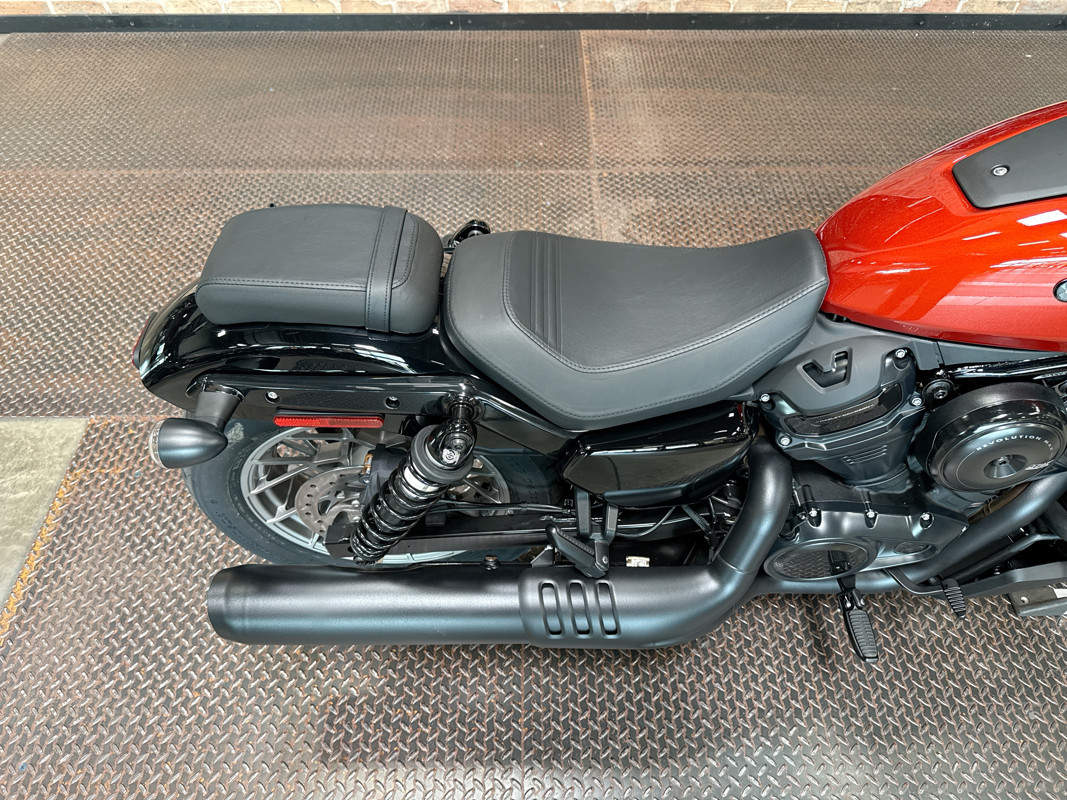 Nightster Special