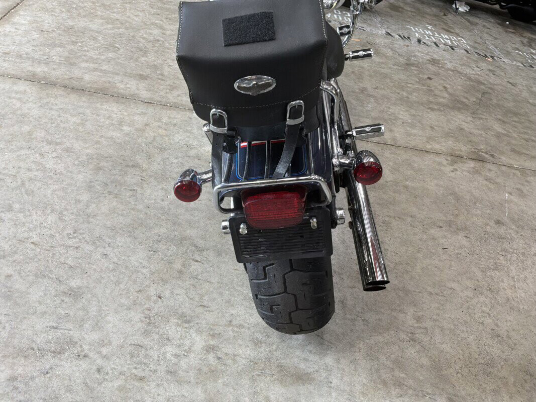 Softail® Custom