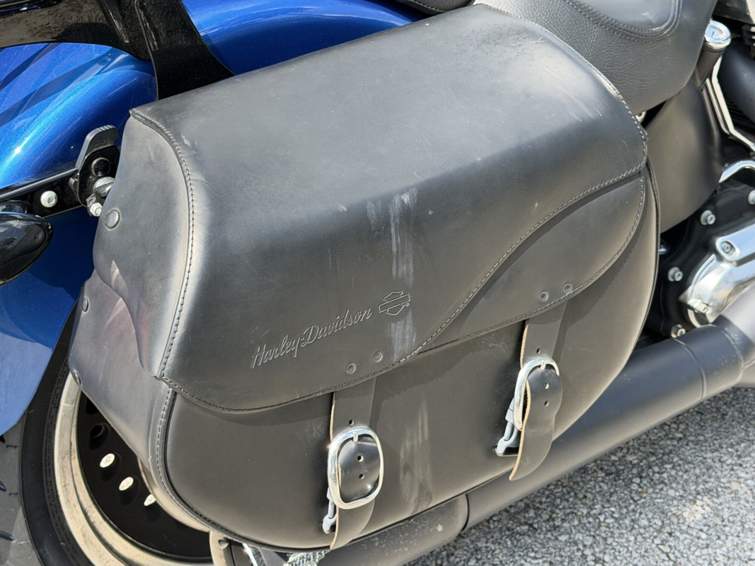 Softail® Fat Boy® Lo