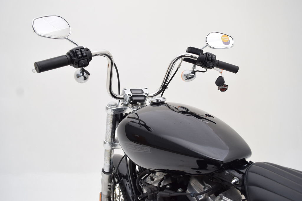 Softail® Standard