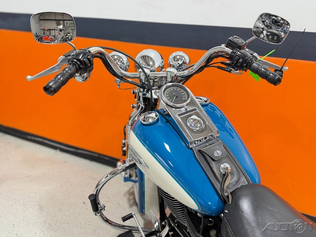 Springer® Softail®