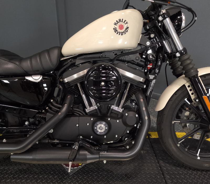 Iron 883®