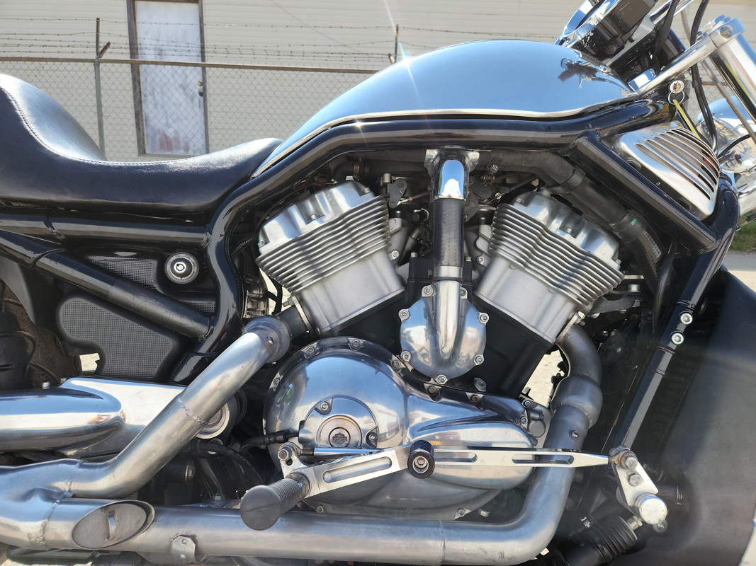 V-Rod® - Silver/Gray Frame