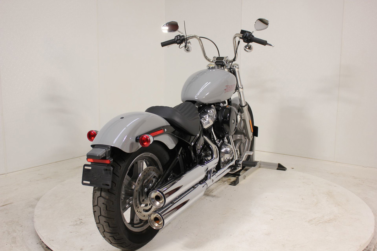 Softail® Standard