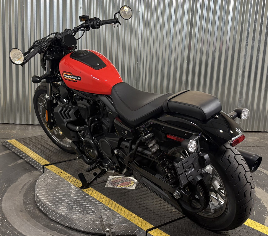 Nightster Special