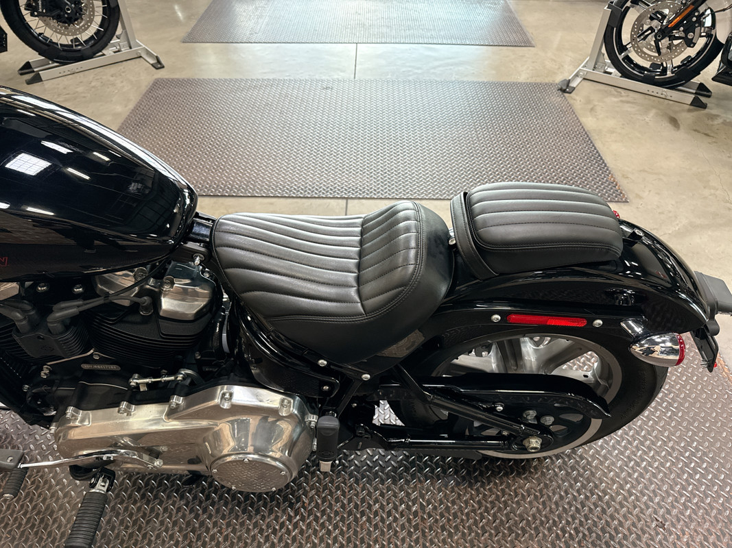 Softail® Standard