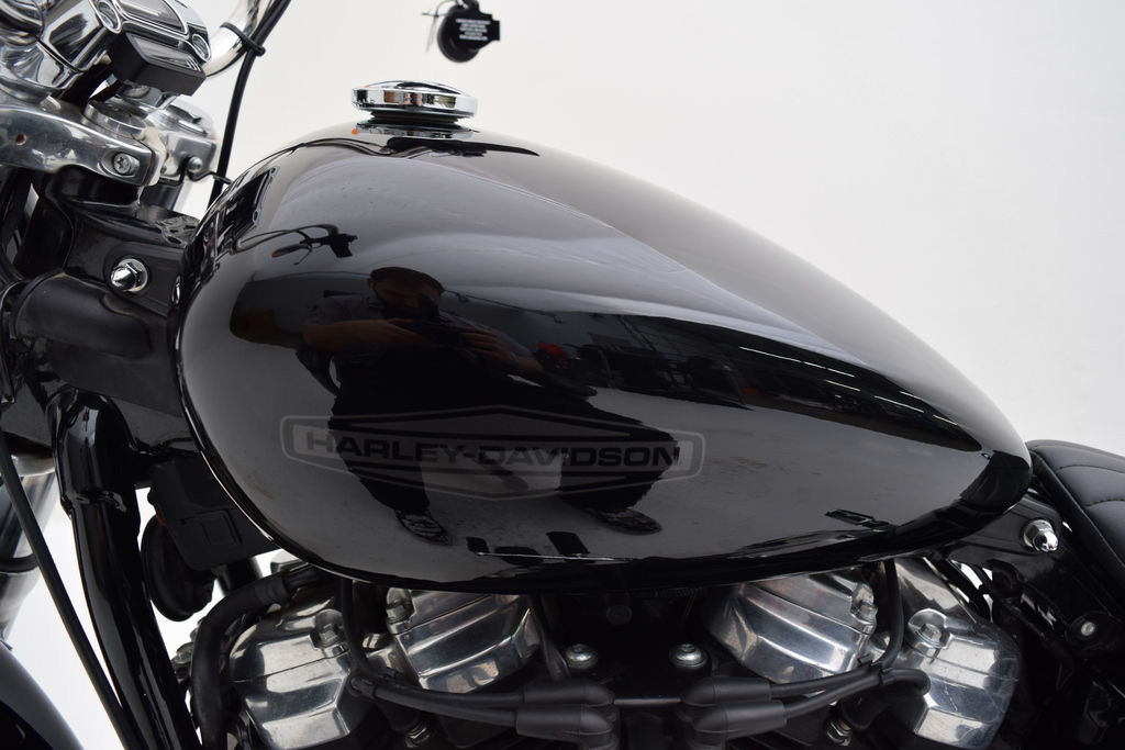 Softail® Standard