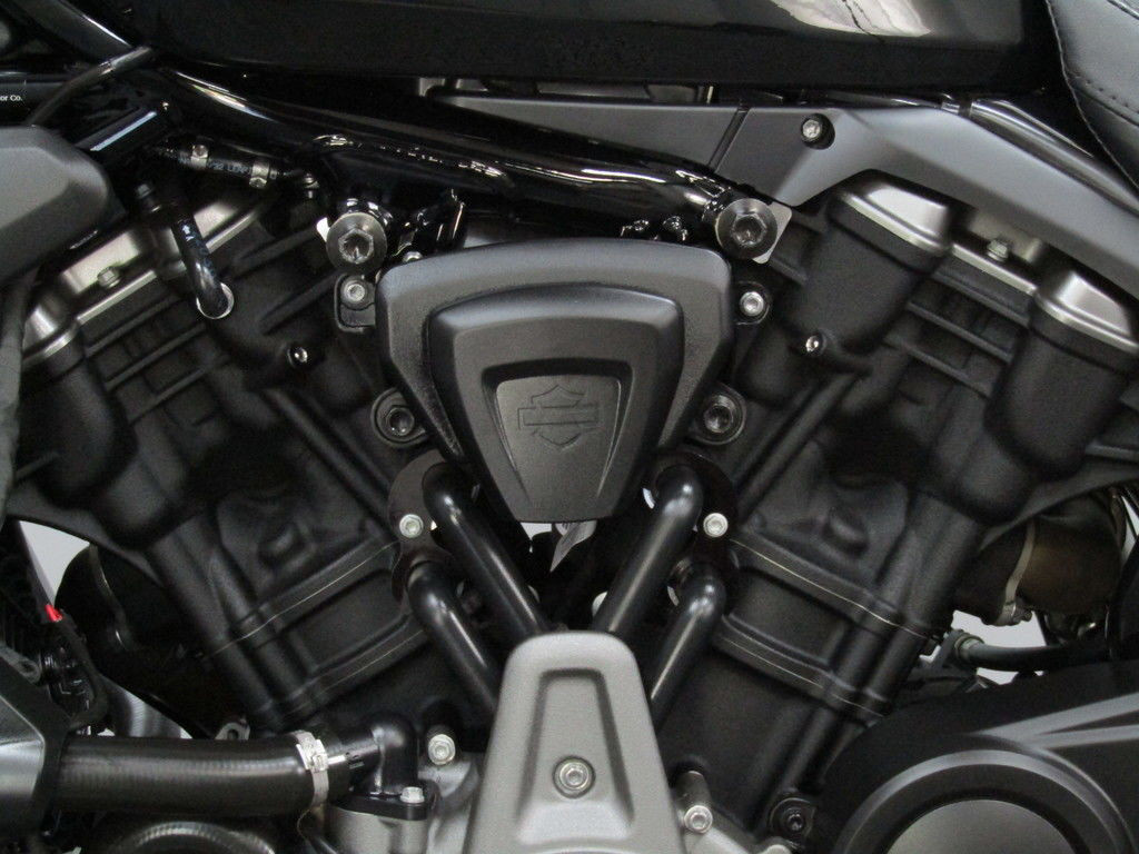 Nightster Special