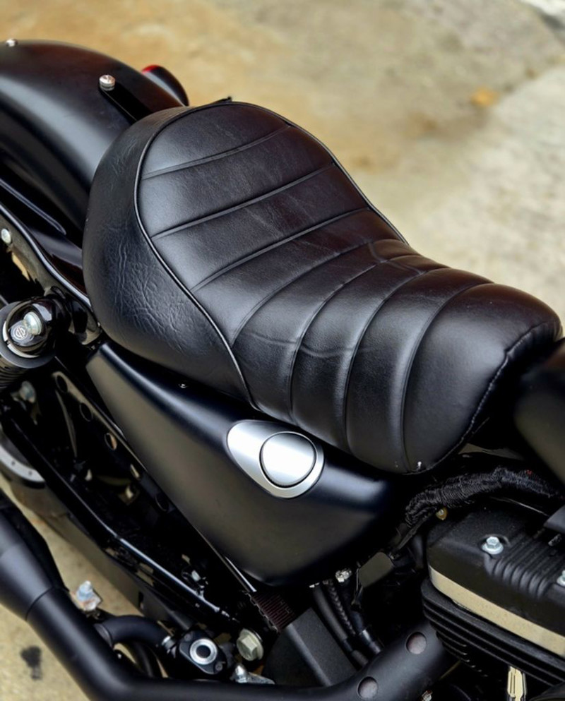 Iron 883®