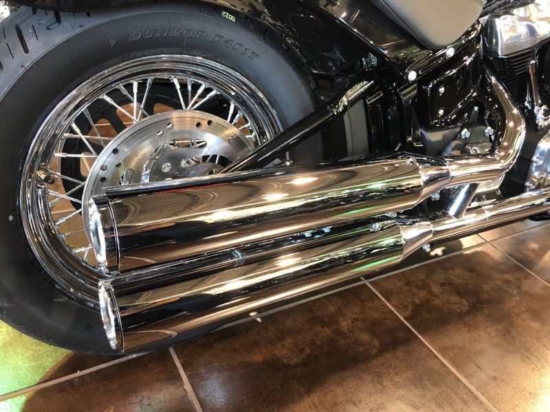 Softail® Standard