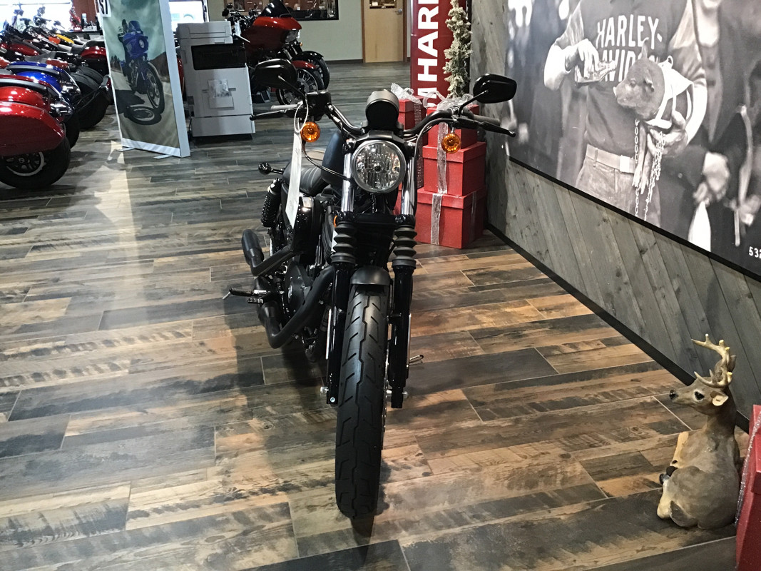 Iron 883®