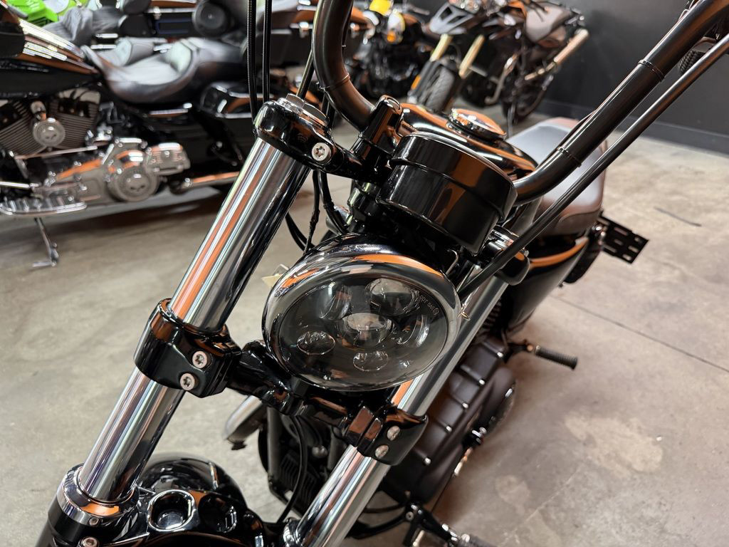Sportster® Forty-Eight®