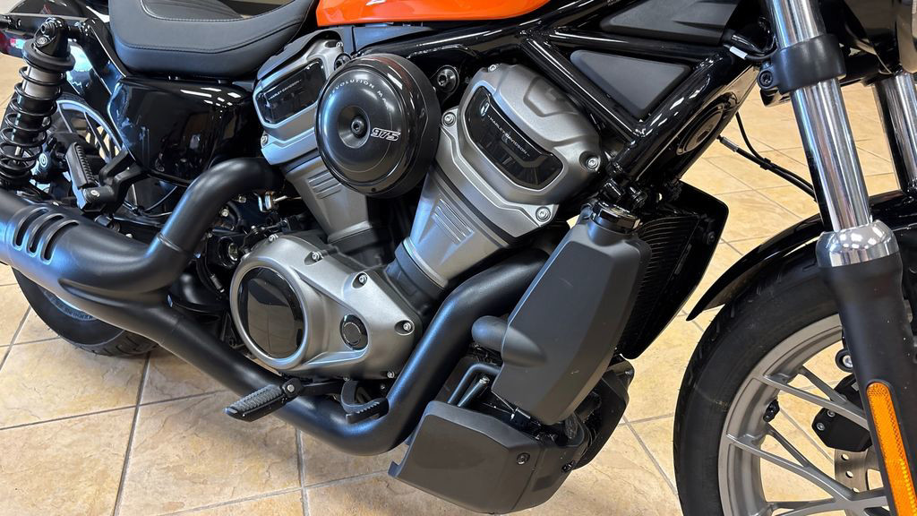 Nightster Special