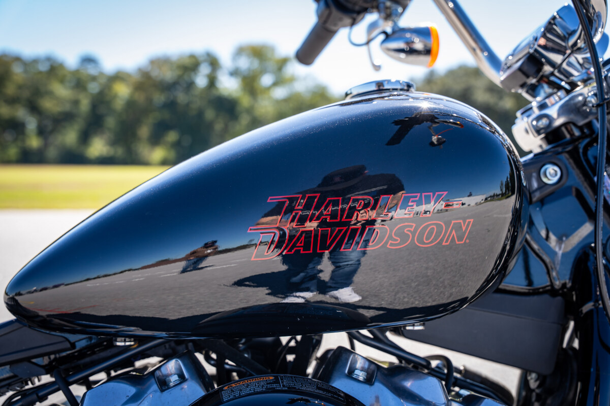 Softail® Standard