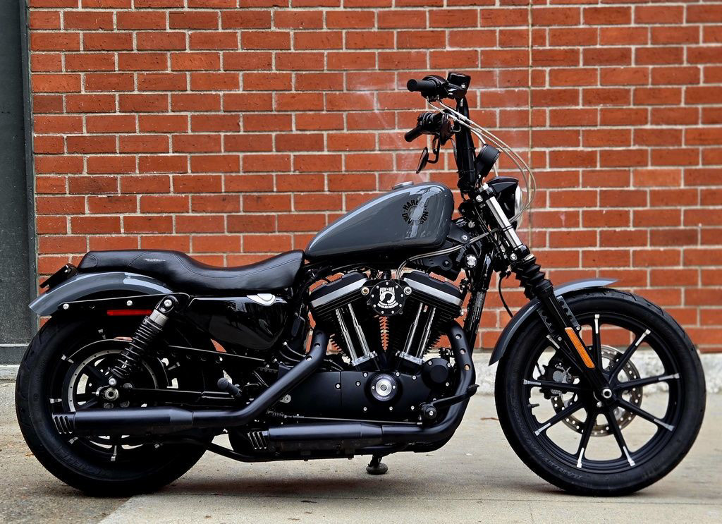 Iron 883®