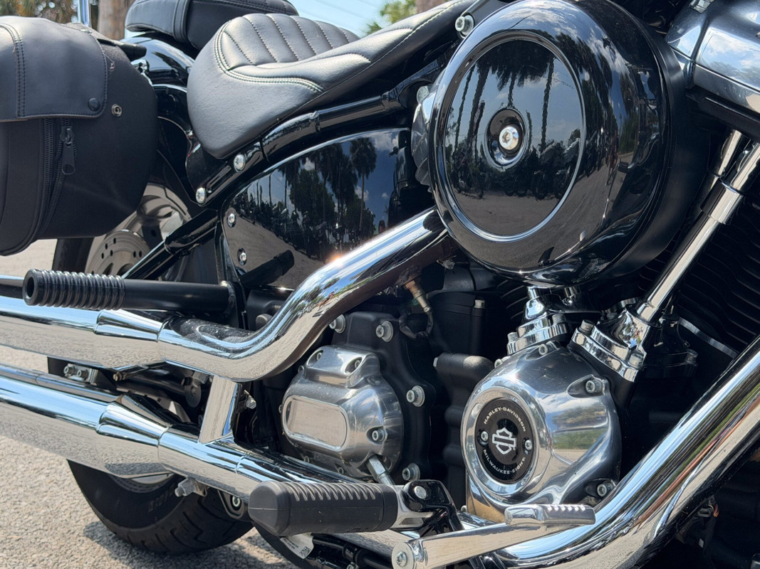 Softail® Standard