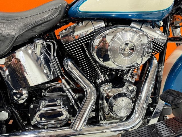 Springer® Softail®
