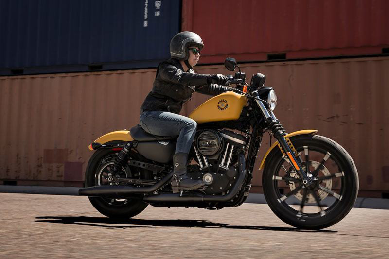 Sportster® Iron 883®