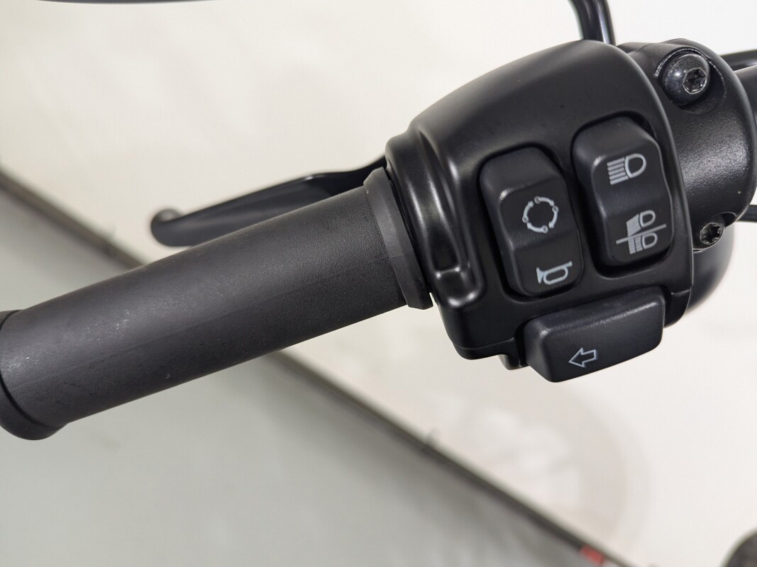 Iron 1200®