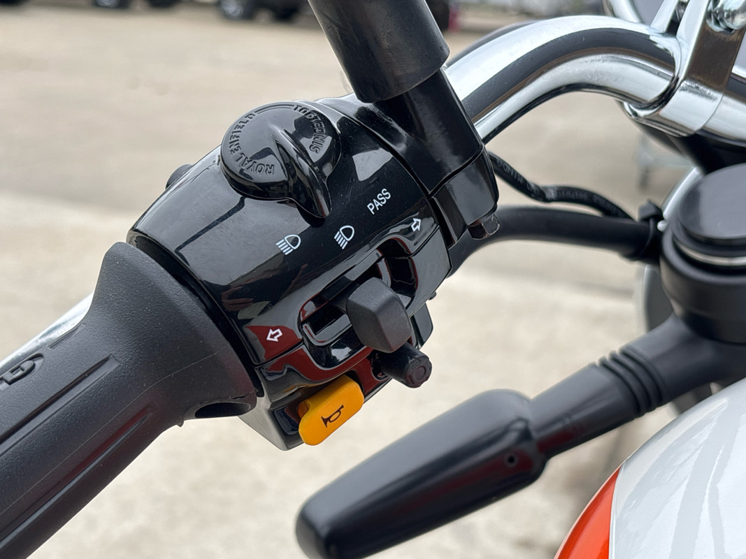 Bear 650