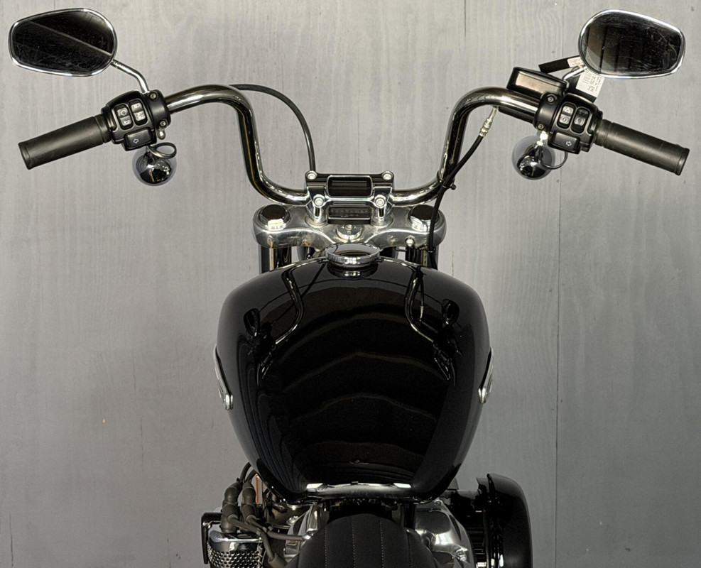 Softail® Standard