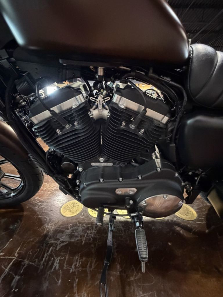 Sportster® Iron 883®