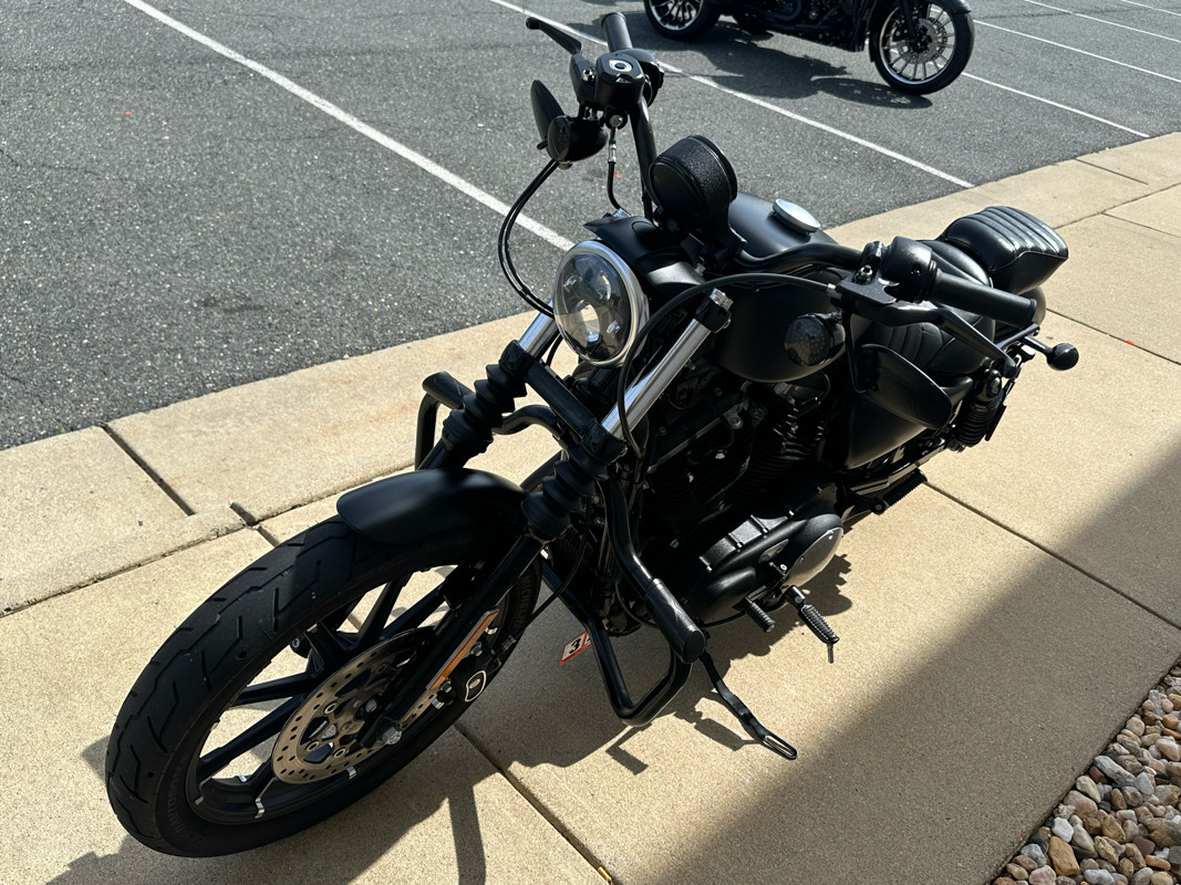 Iron 883®