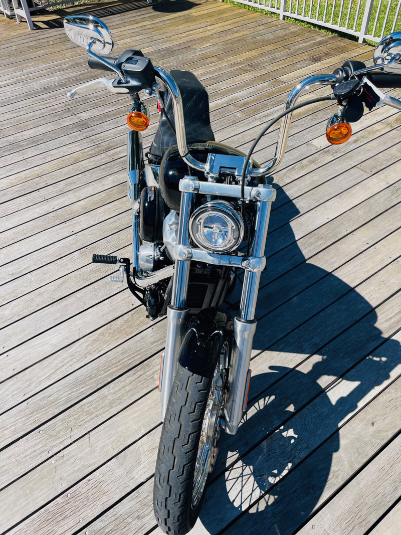 Softail® Standard