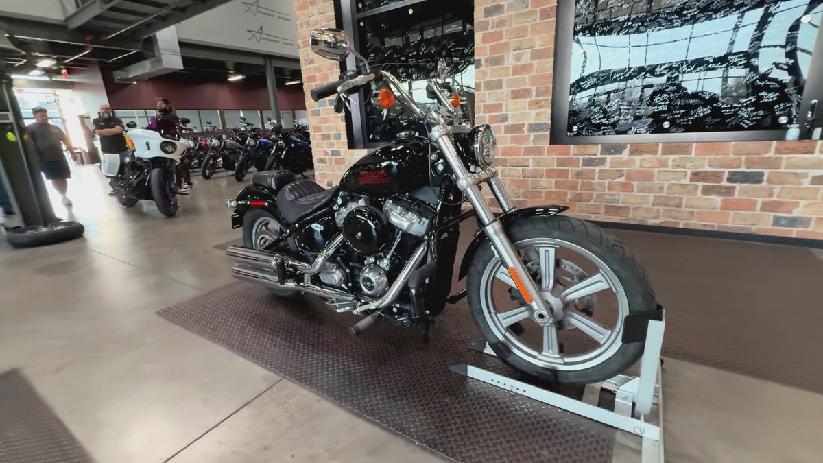 Softail® Standard