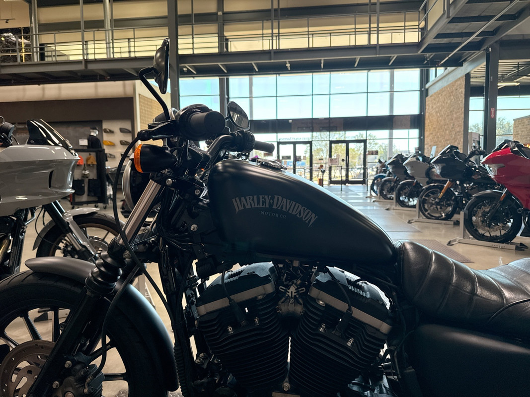 Sportster® Iron 883®
