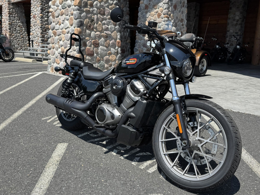 Nightster Special