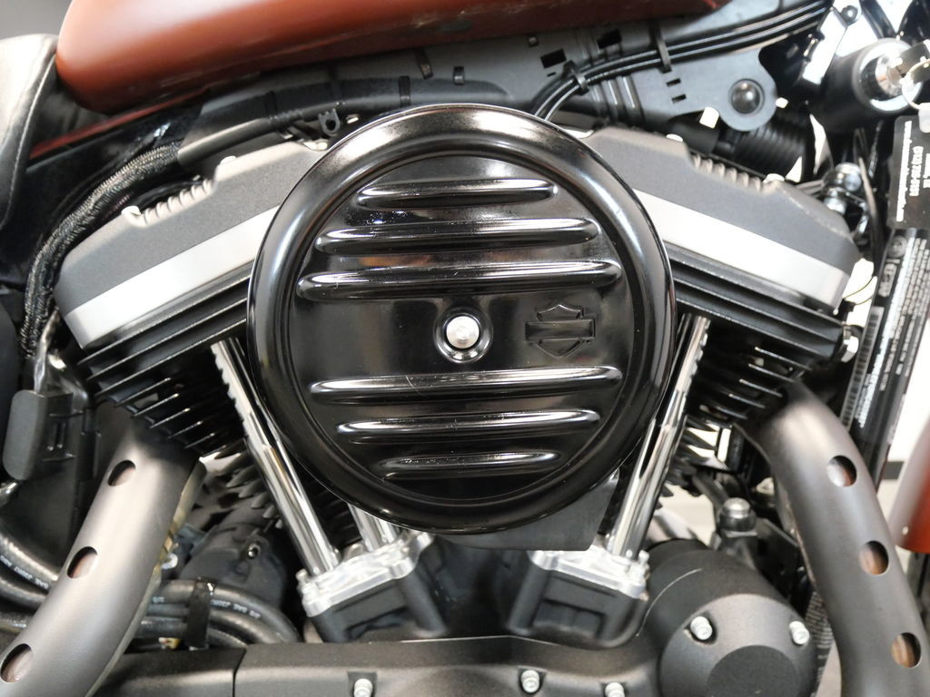 Sportster® Iron 883®