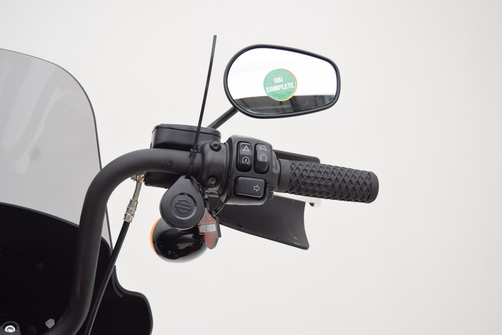 Street Bob® 114