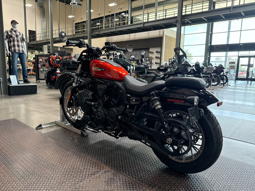 Nightster Special