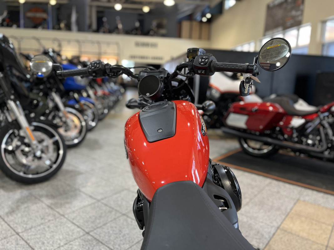 Nightster Special