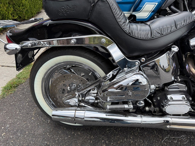 Softail® Custom