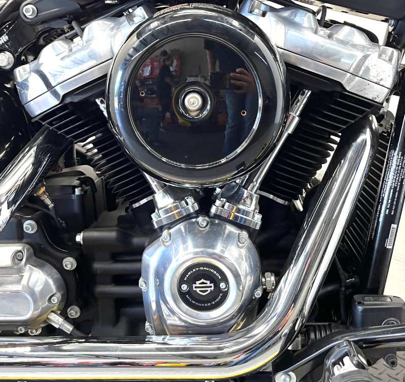Softail® Standard