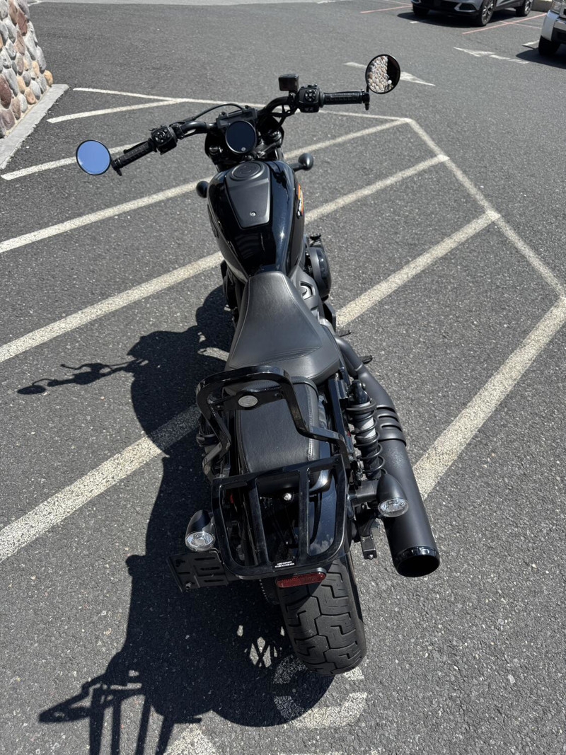 Nightster Special