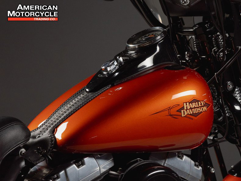 Softail® Cross Bones™