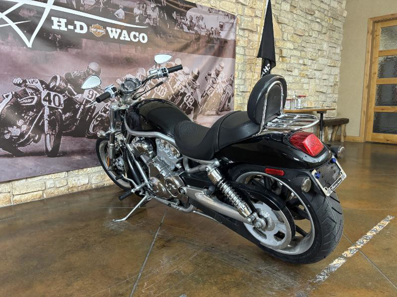 V-Rod® - Silver/Gray Frame