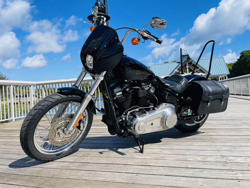 Softail® Standard
