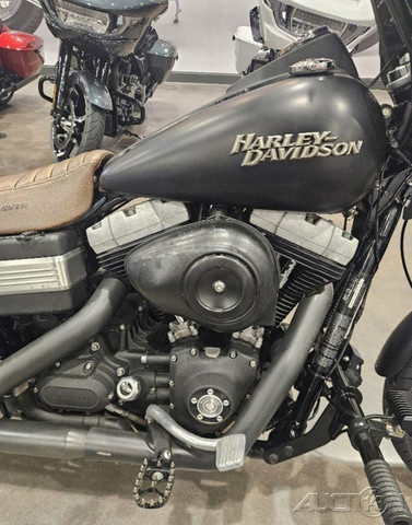 Dyna® Street Bob®