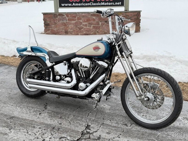 Springer® Softail®